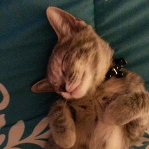 Meet your Posher, Delaney